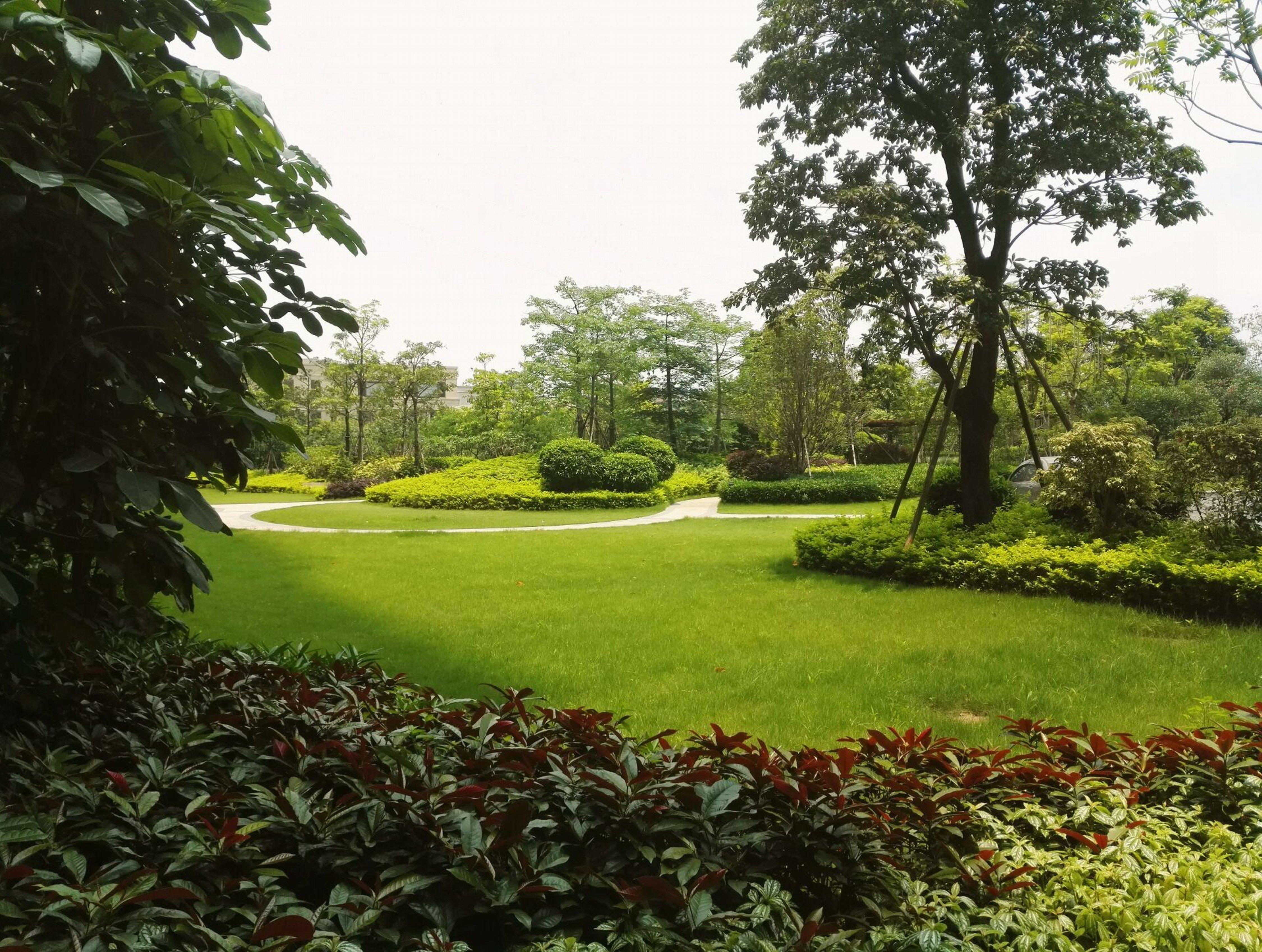Crowne Plaza Guangzhou Zengcheng By Ihg- Canton Fair Free Shuttle Bus Εξωτερικό φωτογραφία